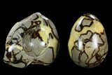 Polished Septarian Egg with Stand - Madagascar #120256-2